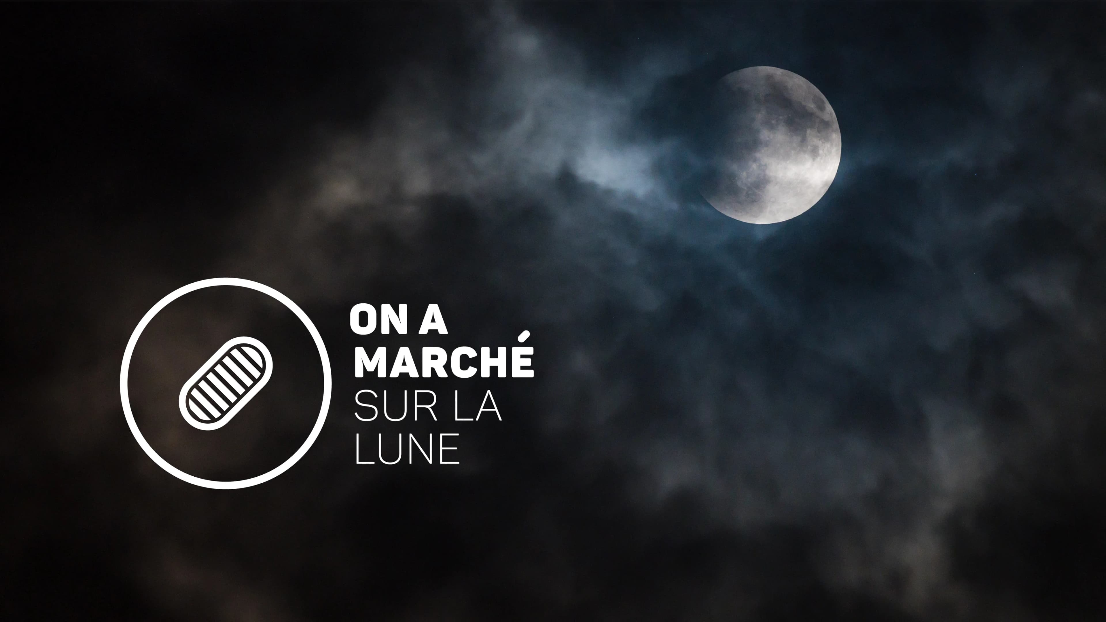 ON A MARCHÉ SUR LA LUNE_LEMON AND PEPPER